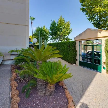 Oasis Apartment